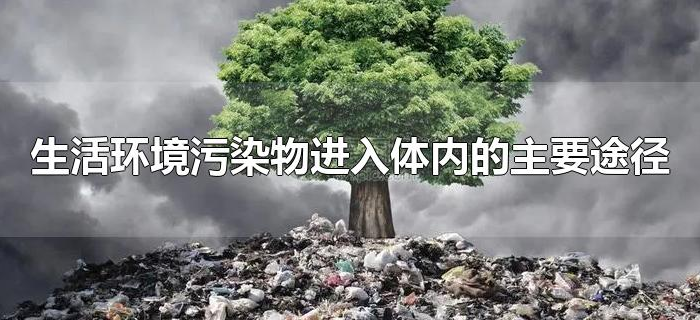 生活环境污染物进入体内的主要途径 生活环境污染物进入体内的主要途径