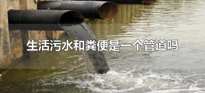 ​生活污水和粪便是一个管道吗（大便和生活污水能不能一个管道）