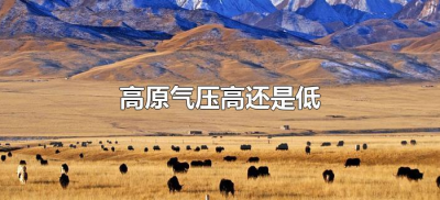 ​高原气压高还是低（高原上气压低还是高）
