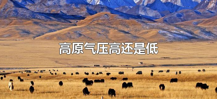 高原气压高还是低