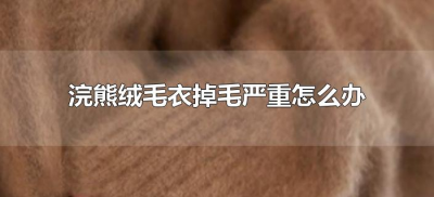 ​浣熊绒毛衣掉毛严重怎么办（浣熊绒掉毛严重怎么解决）
