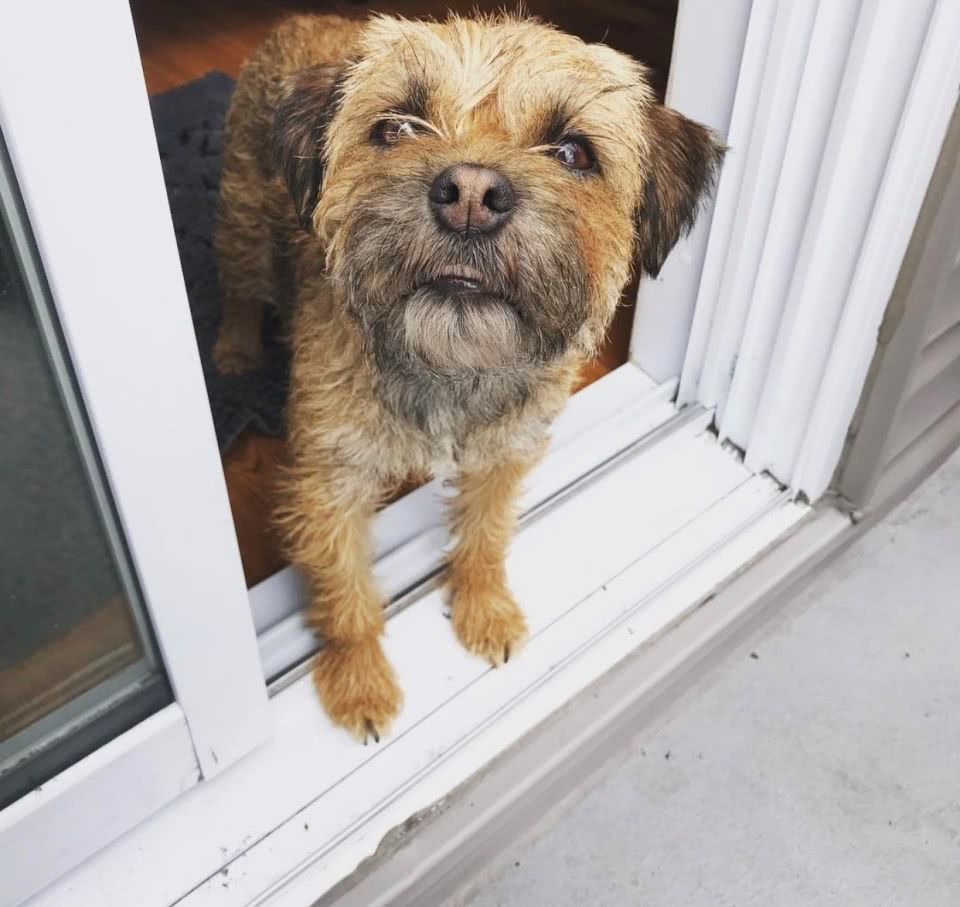 兰博基尼个人资料写真作品