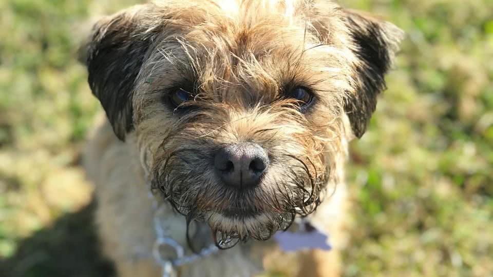 兰博基尼个人资料写真作品