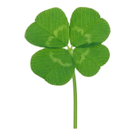 防震减灾的10条小知识简短（防震减灾常识）(4)