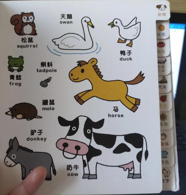 0-1岁儿童阅读书单（0-2-3岁阅读书单来了）(14)