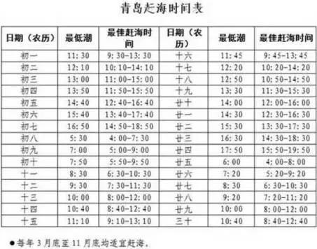 机票比火车票便宜：机票比火车便宜200多(58)