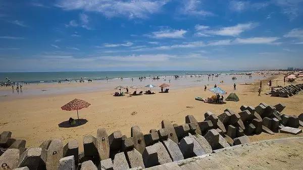 机票比火车票便宜：机票比火车便宜200多(13)