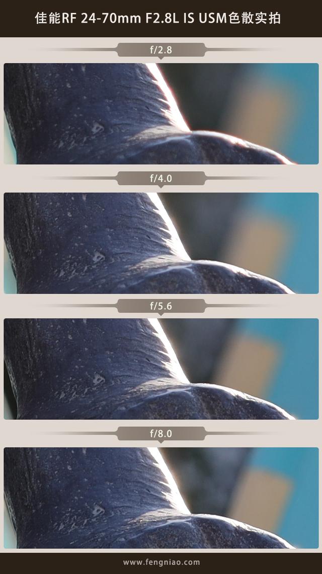 佳能rf24-70f2.8镜头画质（新生RF大三元标变）(23)