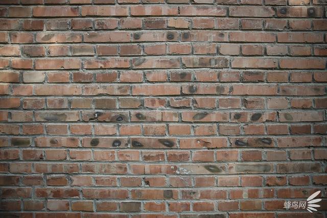 佳能rf24-70f2.8镜头画质（新生RF大三元标变）(26)