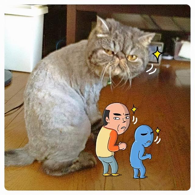 可爱又讽刺的插画（他笔下猥琐大叔的插画）(30)