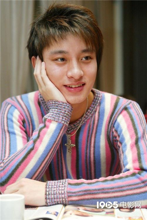 贾乃亮背景资料（宝藏男孩贾乃亮）(4)