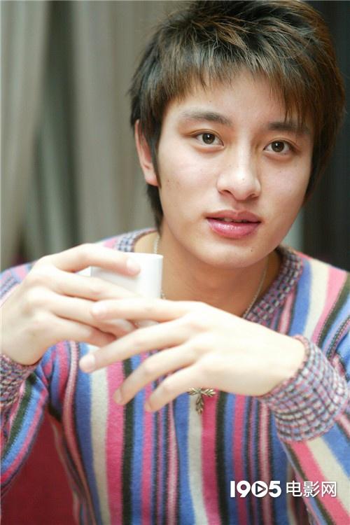 贾乃亮背景资料（宝藏男孩贾乃亮）(14)