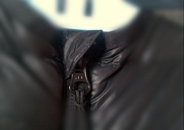 羽绒服moncler辨别真伪（羽绒服选Moncler还是加拿大鹅）(8)