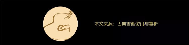 吉他各种拾音器（原声吉他拾音器的分类与讲解）(14)