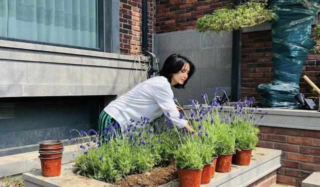 韩庚与卢靖姗大婚有情人终成眷属(韩庚35岁老婆晒宅家日常)(3)