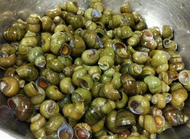 海鲜大排档都有什么海鲜(大排档最脏的4种海鲜)(3)