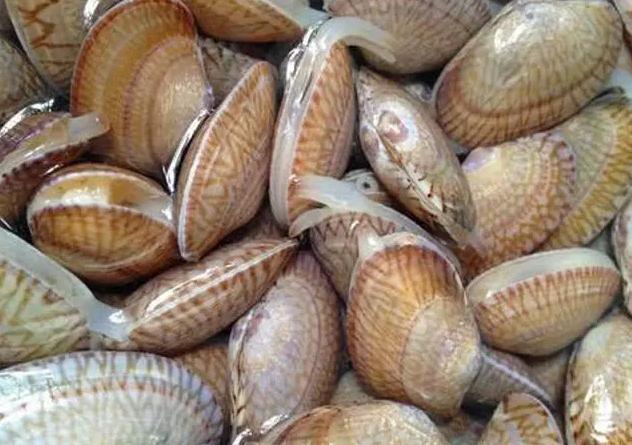 海鲜大排档都有什么海鲜(大排档最脏的4种海鲜)(4)