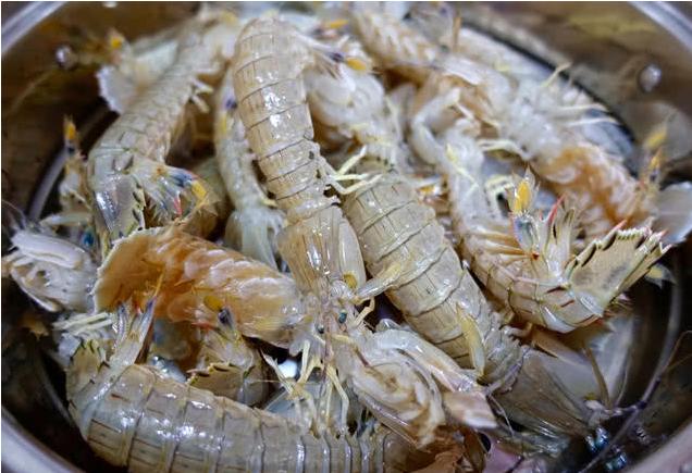 海鲜大排档都有什么海鲜(大排档最脏的4种海鲜)(2)