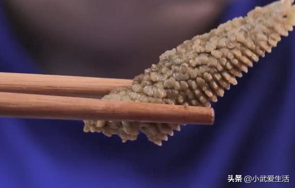 海鲜吃货吃海星大全(海星也能拿来吃)(4)