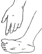 面部痣所对应身体各部位的痣(男女全身痣相图文详解)(25)