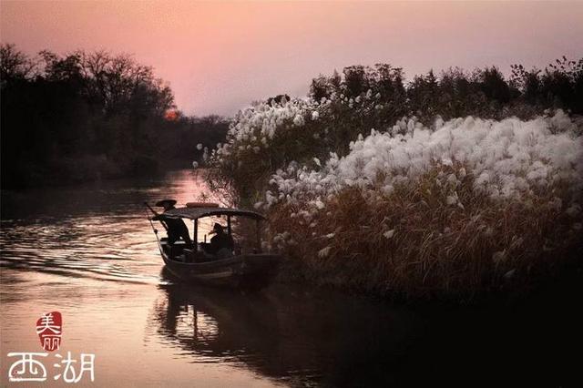 寒潮发力西湖结冰（在西湖区过冬不靠抖）(5)