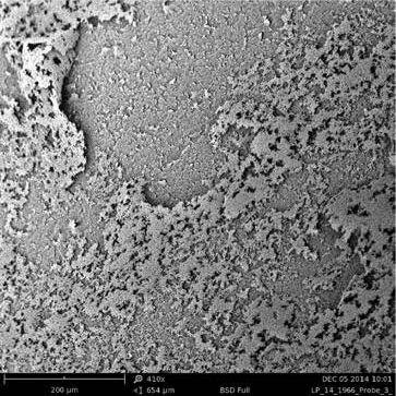 电镜扫描法（5大案例带你学会扫描电镜）(11)