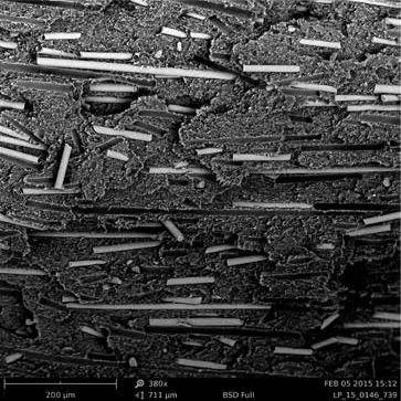 电镜扫描法（5大案例带你学会扫描电镜）(6)