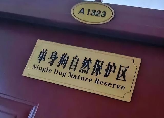 大学女生宿舍装修（大学寝室地府式）(2)