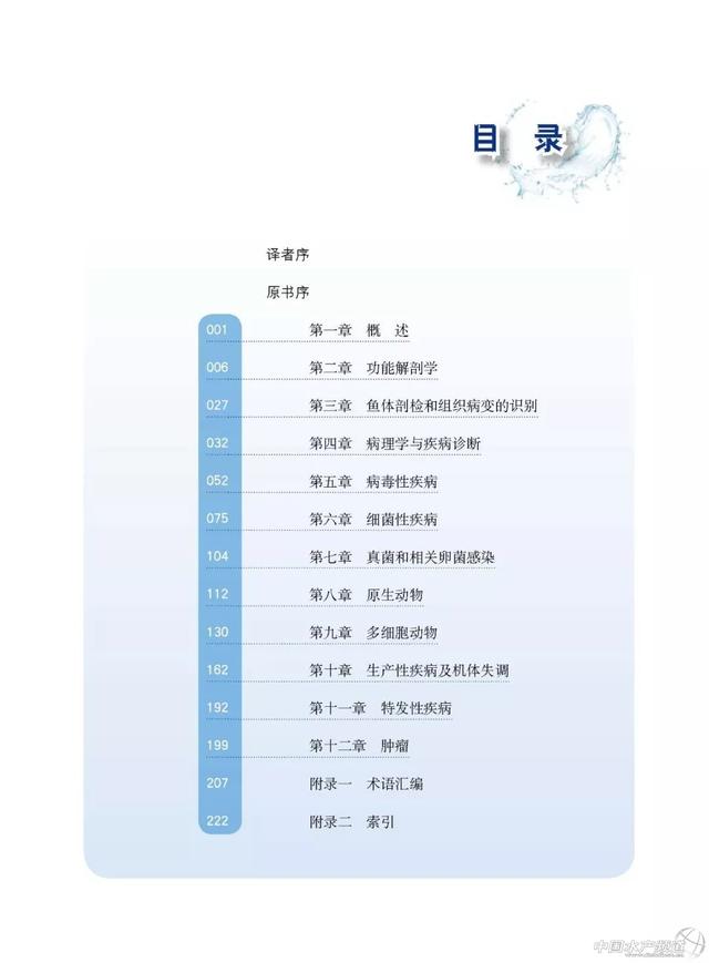 虹鳟鱼特征（价格昂贵的虹鳟鱼为何独得恩宠）(3)