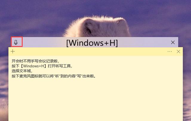 电脑日常操作小技巧(8个超高效的电脑快捷操作技巧)(5)
