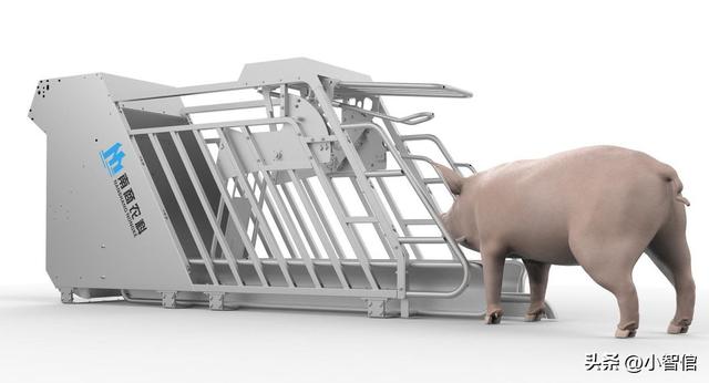 大规模养猪设备(智能化养猪设备)(2)