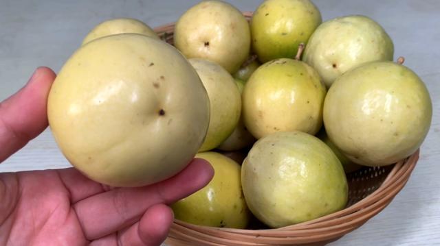 哪些水果都属于碱性水果(遇到这4种碱性水果别手软)(2)