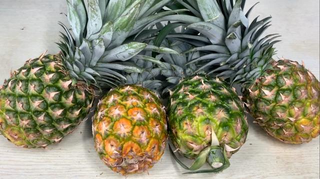 哪些水果都属于碱性水果(遇到这4种碱性水果别手软)(6)