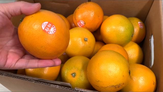 哪些水果都属于碱性水果(遇到这4种碱性水果别手软)(4)