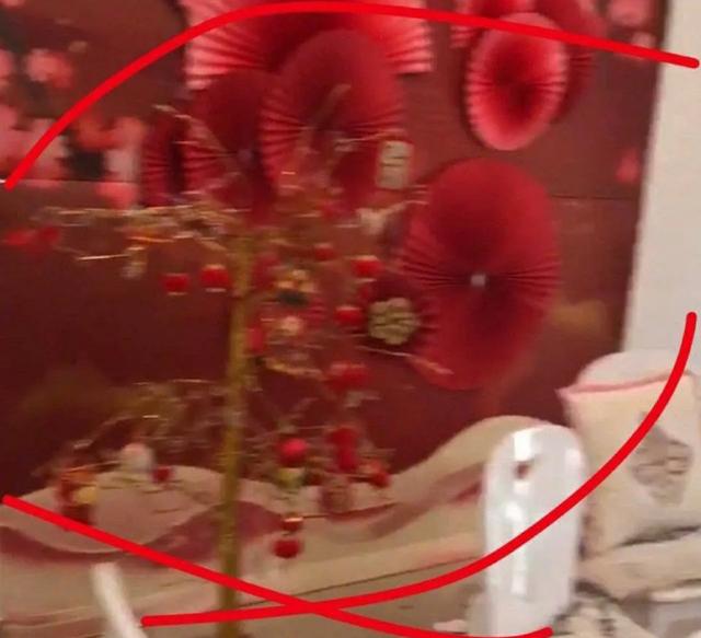 李湘退租事件真相（李湘回应退房前请了保洁且赔款）(6)