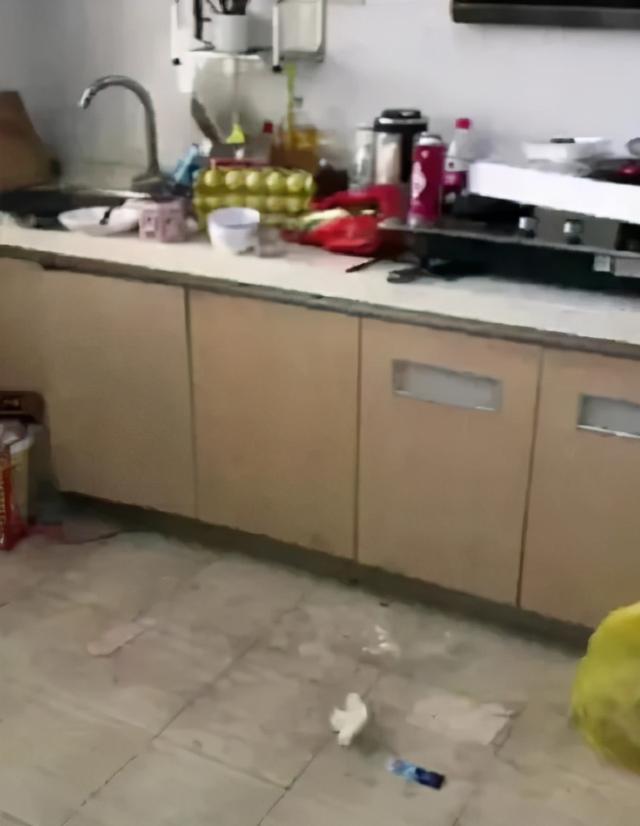 李湘退租事件真相（李湘回应退房前请了保洁且赔款）(4)