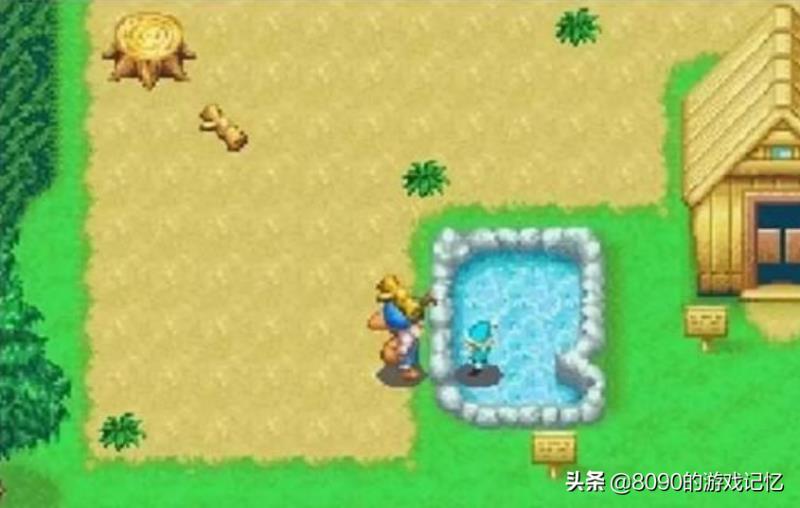 牧场物语矿石镇的伙伴们攻略(矿石镇的伙伴们前期攻略)(4)