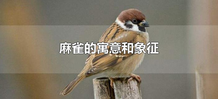 麻雀的寓意和象征