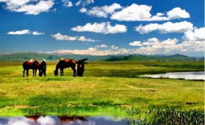 ​中国发生地震最多的省 新疆有多个地震带 (地震频率高)