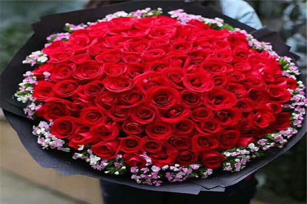 网络图片(侵删)