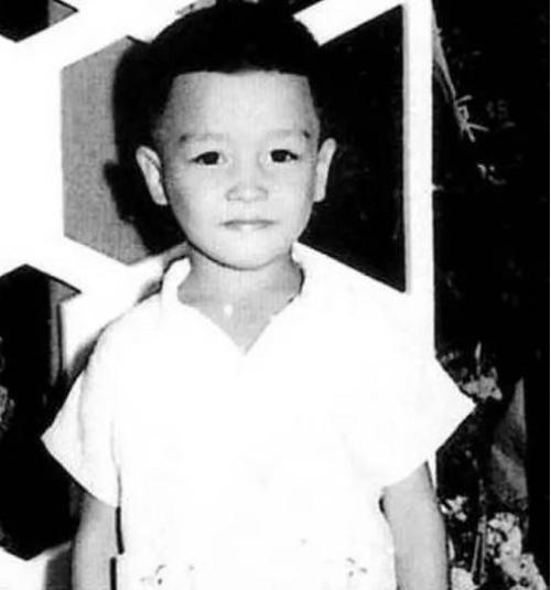 张国荣1984年(1989年张国荣经历了比死亡更可怕的事)(4)