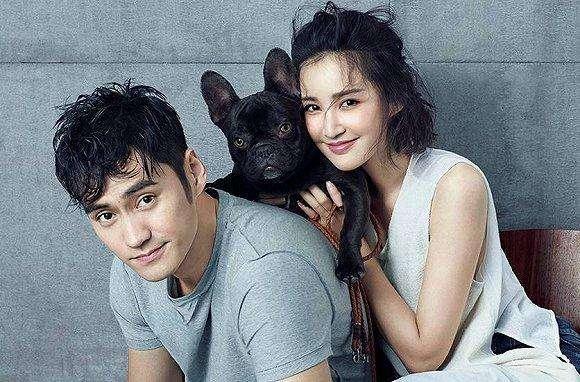 张歆艺袁弘结婚多久了（张歆艺与袁弘结婚4年）(9)