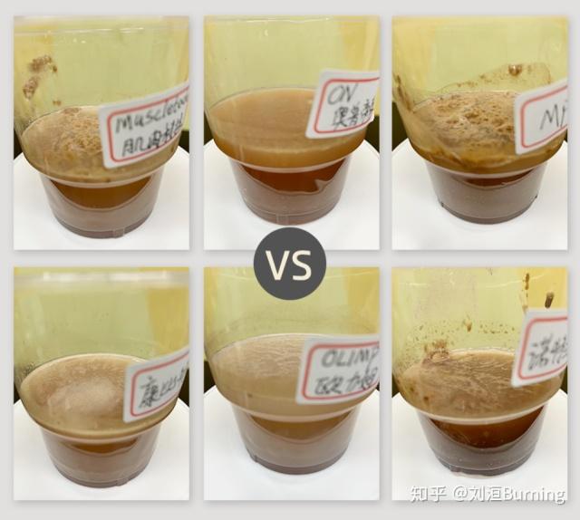 增肌粉哪些牌子更好质量更稳定(六大品牌增肌粉实用测评)(12)