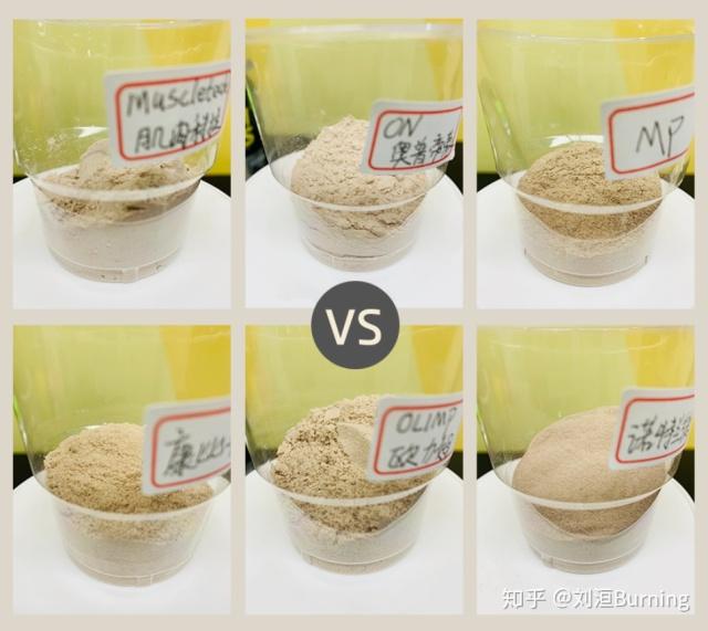增肌粉哪些牌子更好质量更稳定(六大品牌增肌粉实用测评)(11)