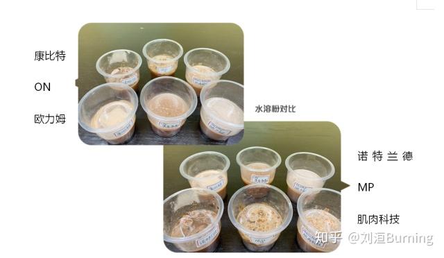 增肌粉哪些牌子更好质量更稳定(六大品牌增肌粉实用测评)(13)