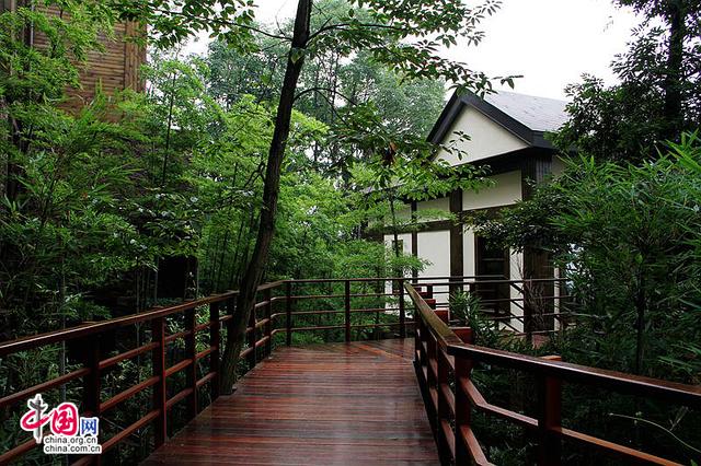 峨眉山自由行路线图最新(峨眉山大环线的经典线路)(2)