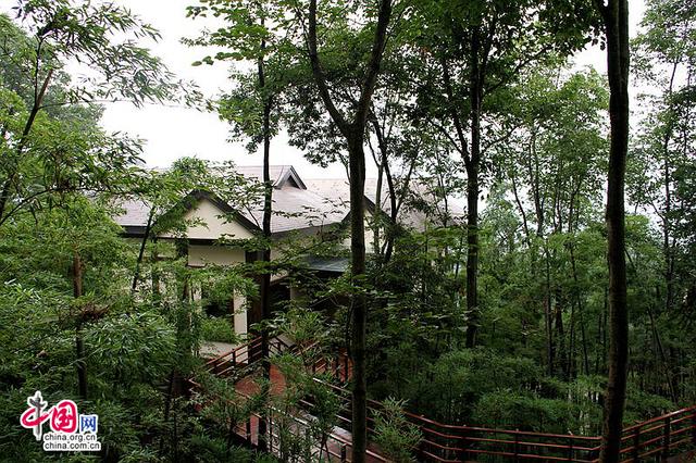 峨眉山自由行路线图最新(峨眉山大环线的经典线路)(1)