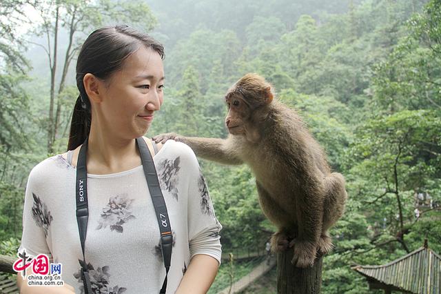 峨眉山自由行路线图最新(峨眉山大环线的经典线路)(17)