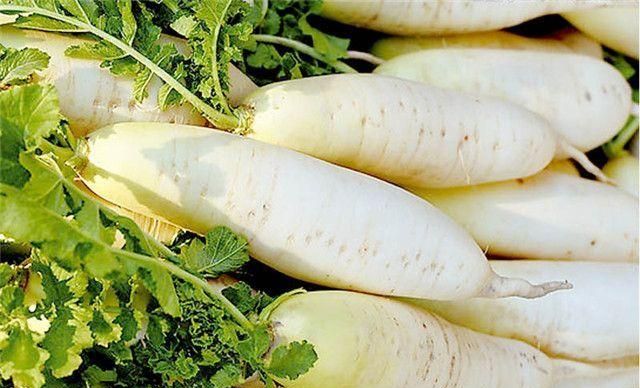 老年人多吃萝卜有哪些好处