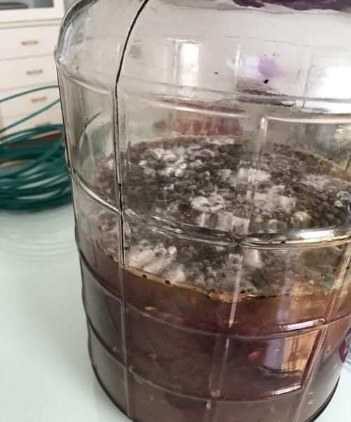 自酿葡萄酒保质期多长时间去年做的，今年还能喝吗